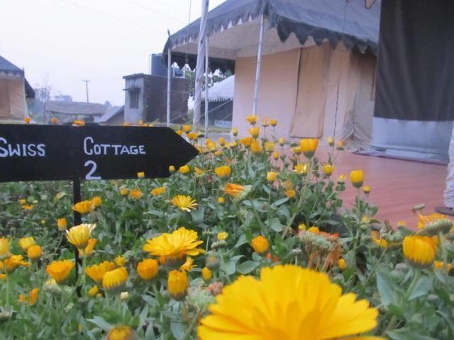 Derra Camp And Resort Jhājra Zewnętrze zdjęcie